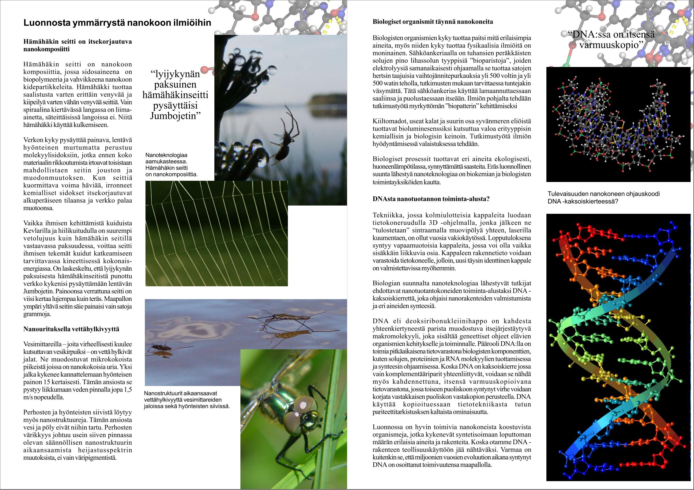 nanoteknologia-jalkanen_08
